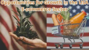 Opportunities for Growth in the USA E-commerce Sector