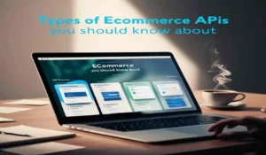 Types of Ecommerce APIs You Should Know About