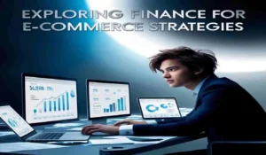 Exploring Finance for E-commerce Strategies